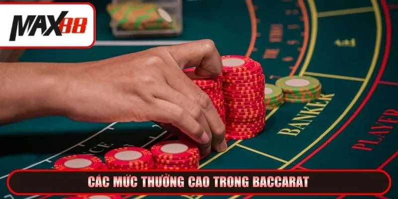 Các mức thưởng cao trong Baccarat