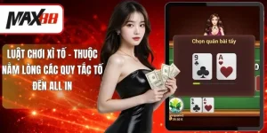 Luật chơi Xì tố