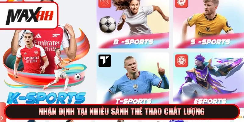 Nhận định tại nhiều sảnh thể thao chất lượng